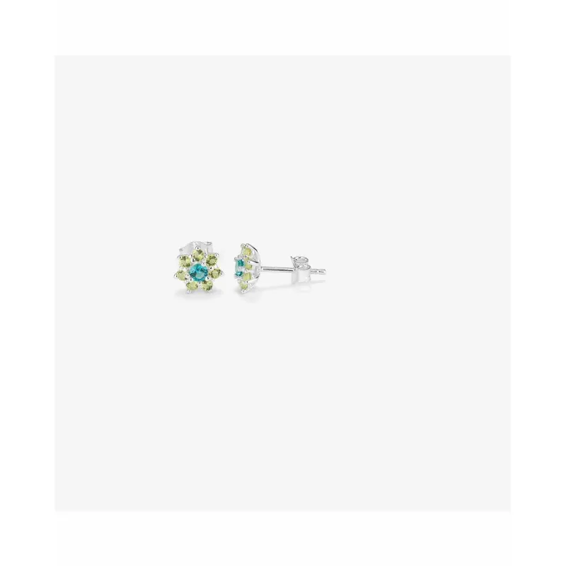Ladies' Earrings Radiant RY000109